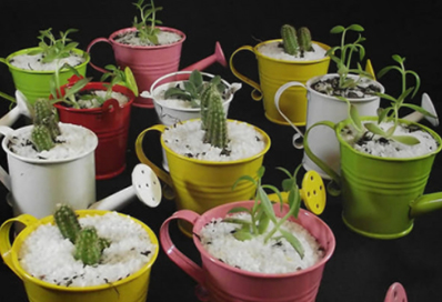 Eco deco