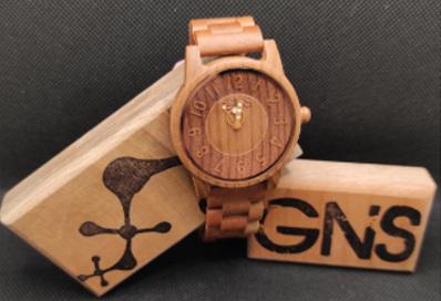 GNS Shop Chile