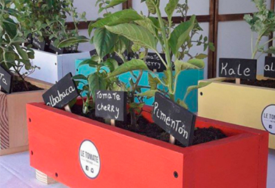 Le tomate factorie pyme-tomate