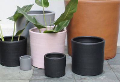 mundo bio verde